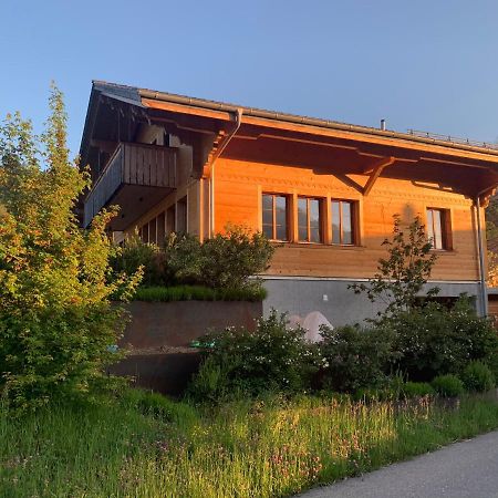 Chalet Park Apartment Mit Sauna Hamam Diemtigen المظهر الخارجي الصورة